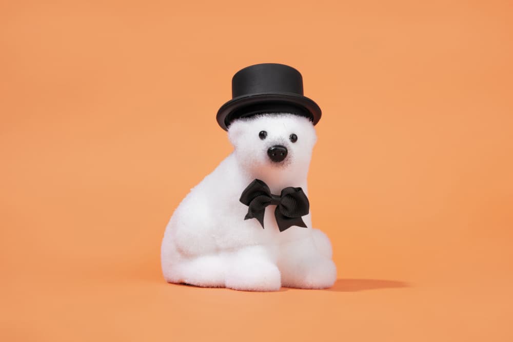 Dapper Polar Bear by Julia Ramiro — canvas wall art