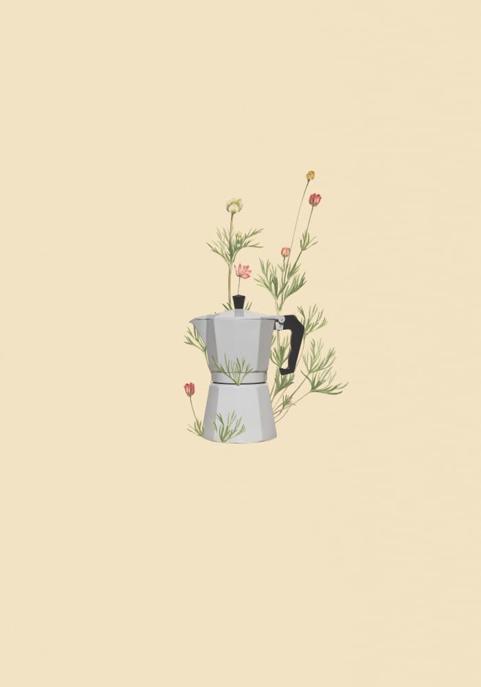 Moka Pot Blooms by Frida Floral Studio — canvas wall art