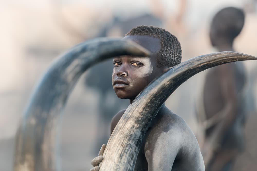 African Horn Bearer by Trevor Cole — canvas wall art
