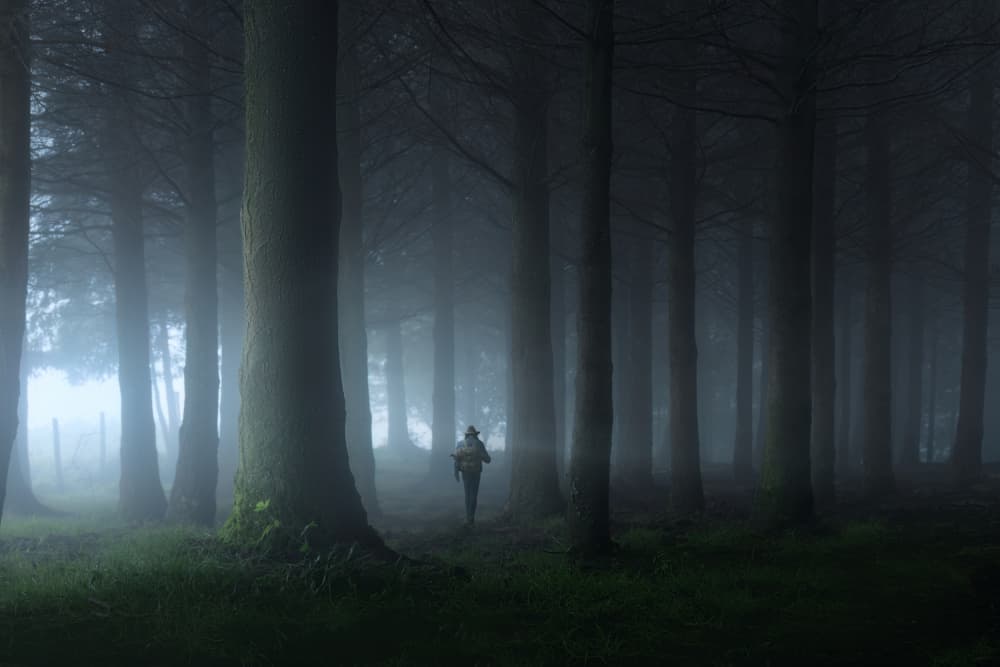 Foggy Forest Wanderer by NingYun Ye — canvas wall art