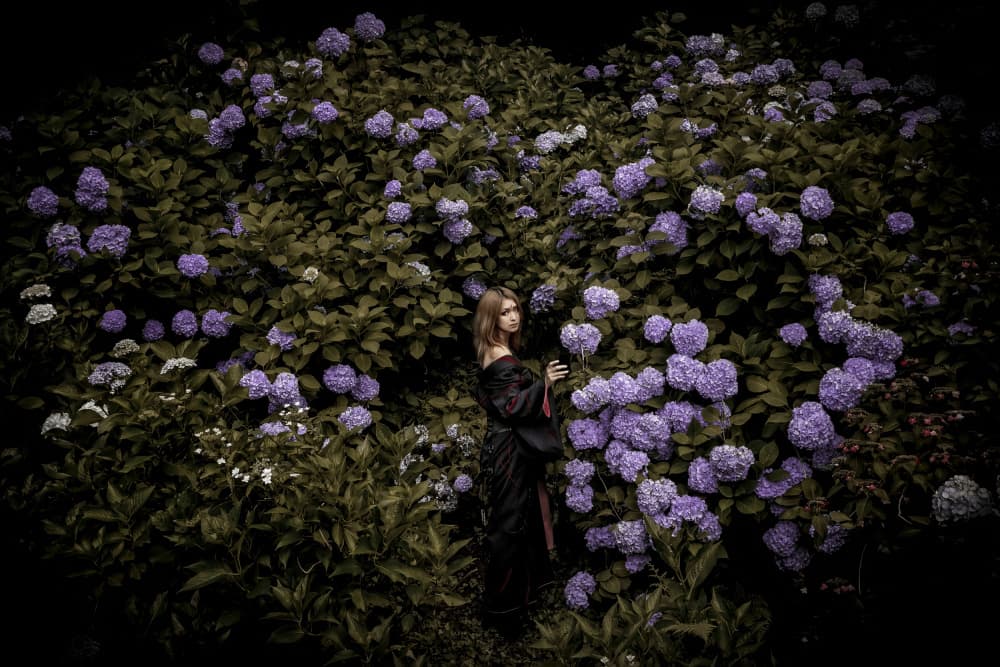 Woman in Purple Hydrangeas by KOIKI — canvas wall art