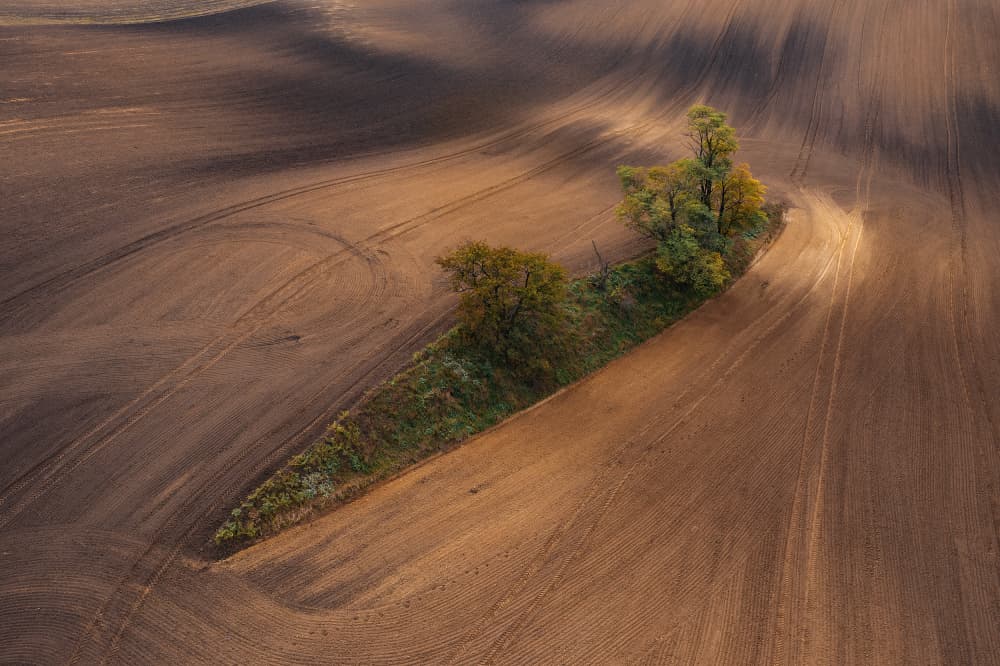 Autumn Field Patterns by Jure Kravanja — canvas wall art