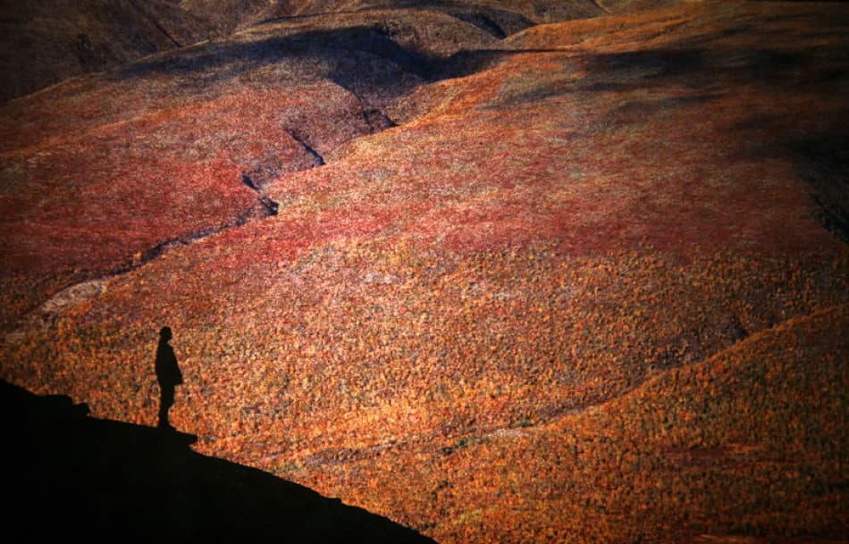 Solitary Autumn View by Bror Johansson — canvas wall art