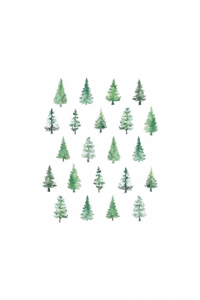 Evergreen Watercolor Collection by Rosana Laiz Blursbyai — canvas wall art