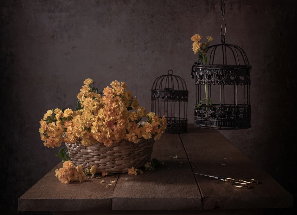 Rustic Yellow Flowers by Margareth Perfoncio — canvas wall art
