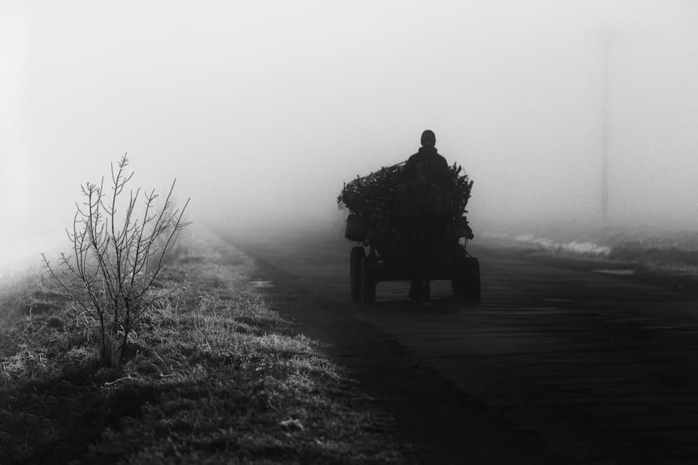 Misty Road Journey by Marius Cinteza — canvas wall art