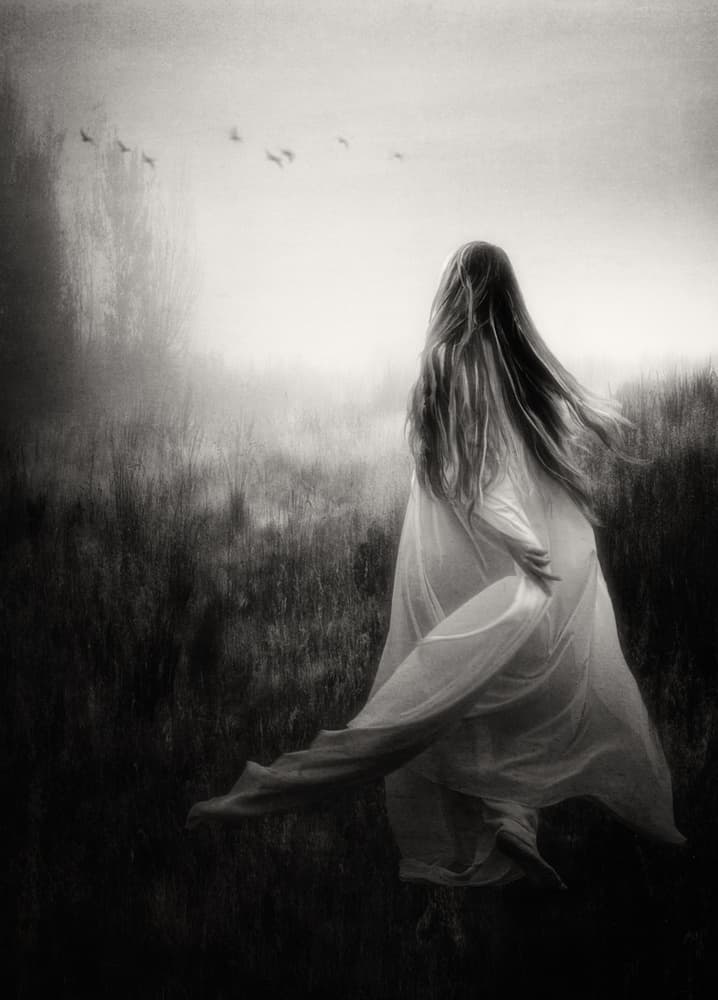 Ethereal Woman Misty Field by Charlaine Gerber — canvas wall art