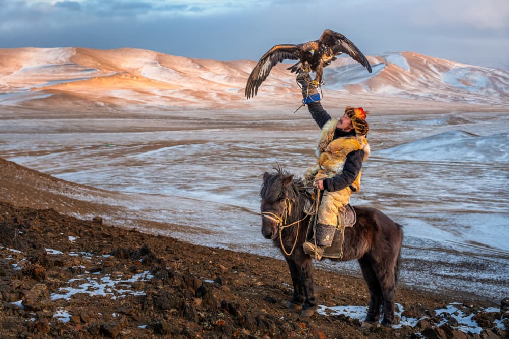 Golden Eagle Hunter by HIRAK BHATTACHARJEE — canvas wall art
