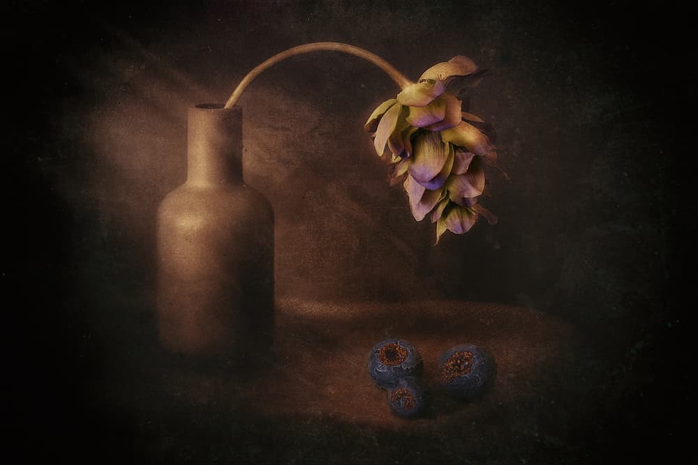 Moody Flower Vase by Elena Arjona — canvas wall art