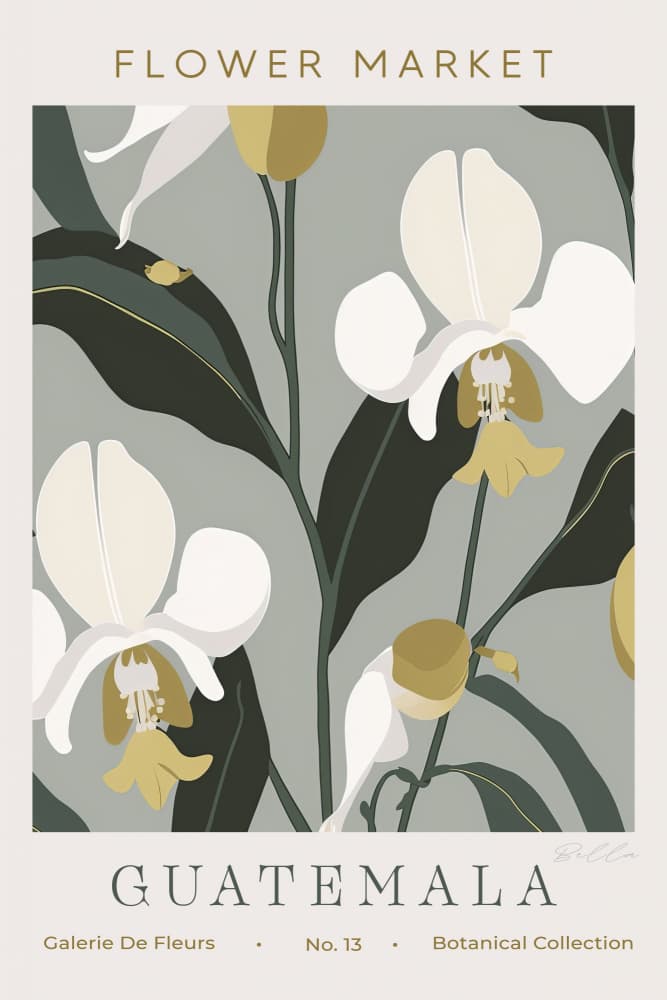 Tropical Guatemala Orchids by Bella Eve — canvas wall art