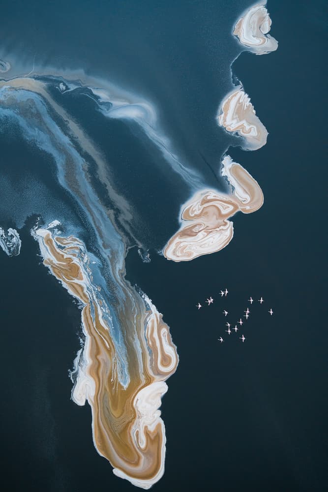 Abstract Salt Lake Birds by John Fan — canvas wall art