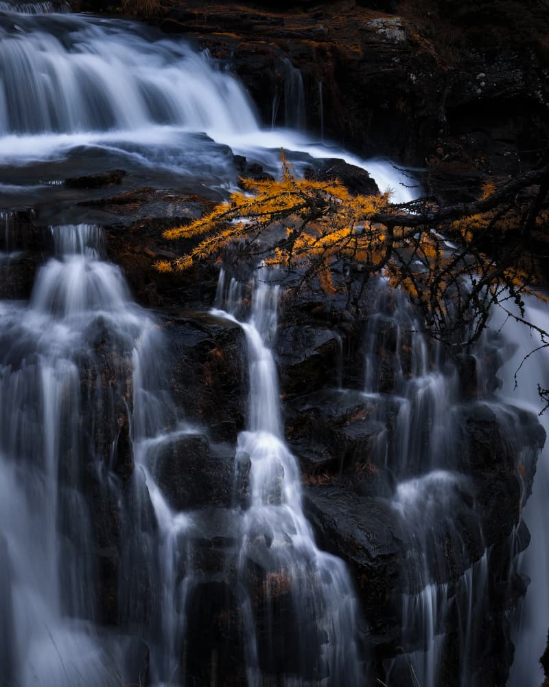 Golden Autumn Waterfall by Chuan Chen APA — canvas wall art