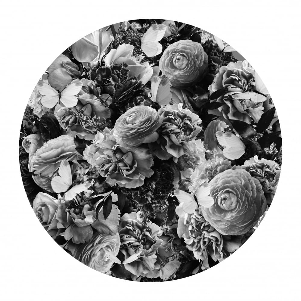 Monochrome Floral Butterflies by Sue Skellern — canvas wall art