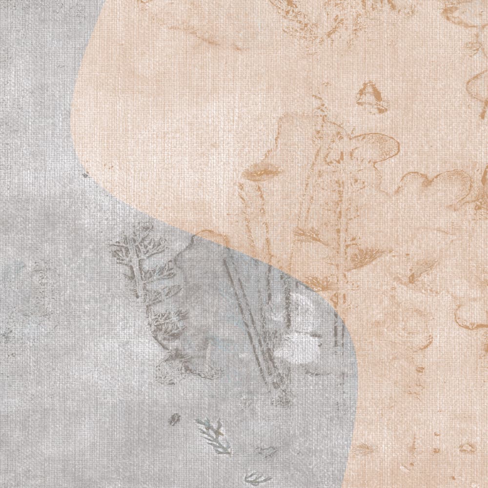 Faded Botanical Forms by Dina Dankers — canvas wall art