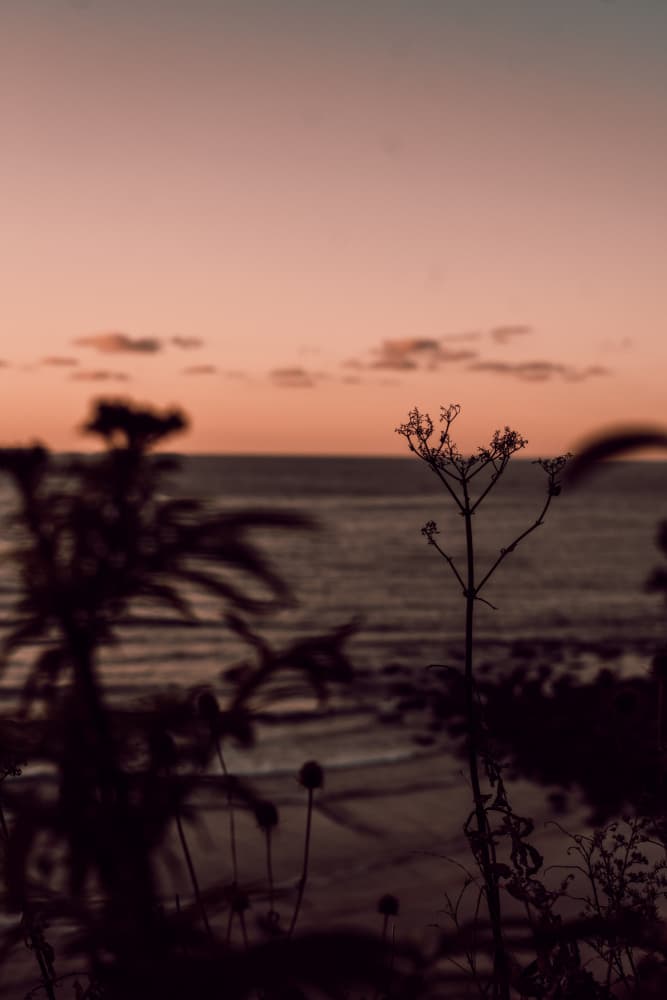 Sunset Ocean Silhouette by Aimee Giles — canvas wall art