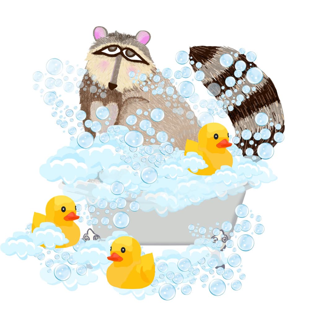 Raccoon Bubble Bath by Lynnda Rakos — canvas wall art