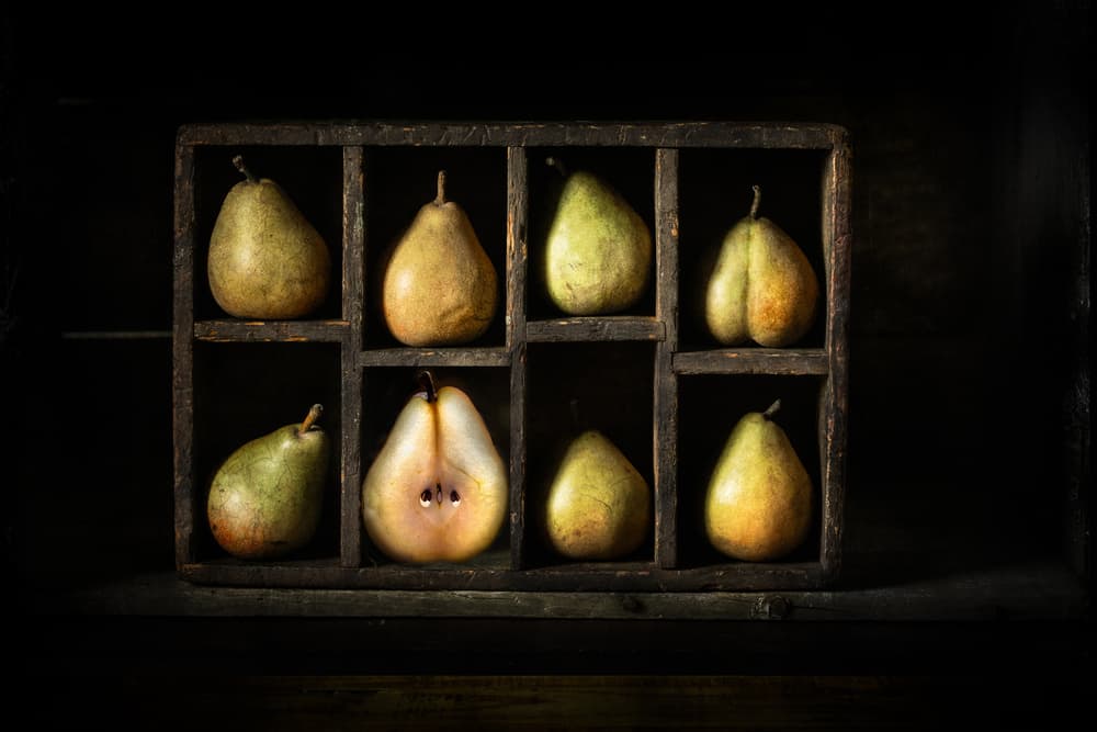 Rustic Pear Still Life by Heather Bonadio — canvas wall art
