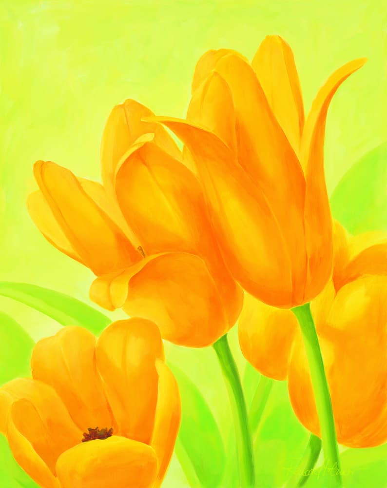 Vibrant Orange Tulips by Renate Holzner — canvas wall art