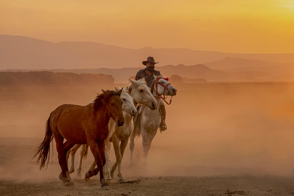 Cowboy and Horses at Sunset by Zühdü Bilgin — canvas wall art