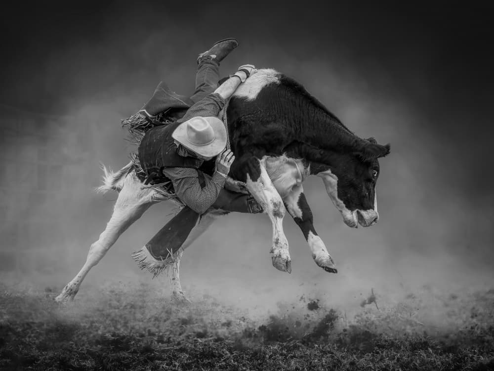 Bucking Bull Rider by Frank Ma — canvas wall art