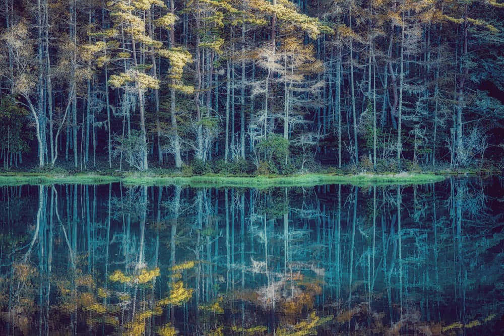 Autumn Forest Reflections by Yasutaka Sameshima — canvas wall art