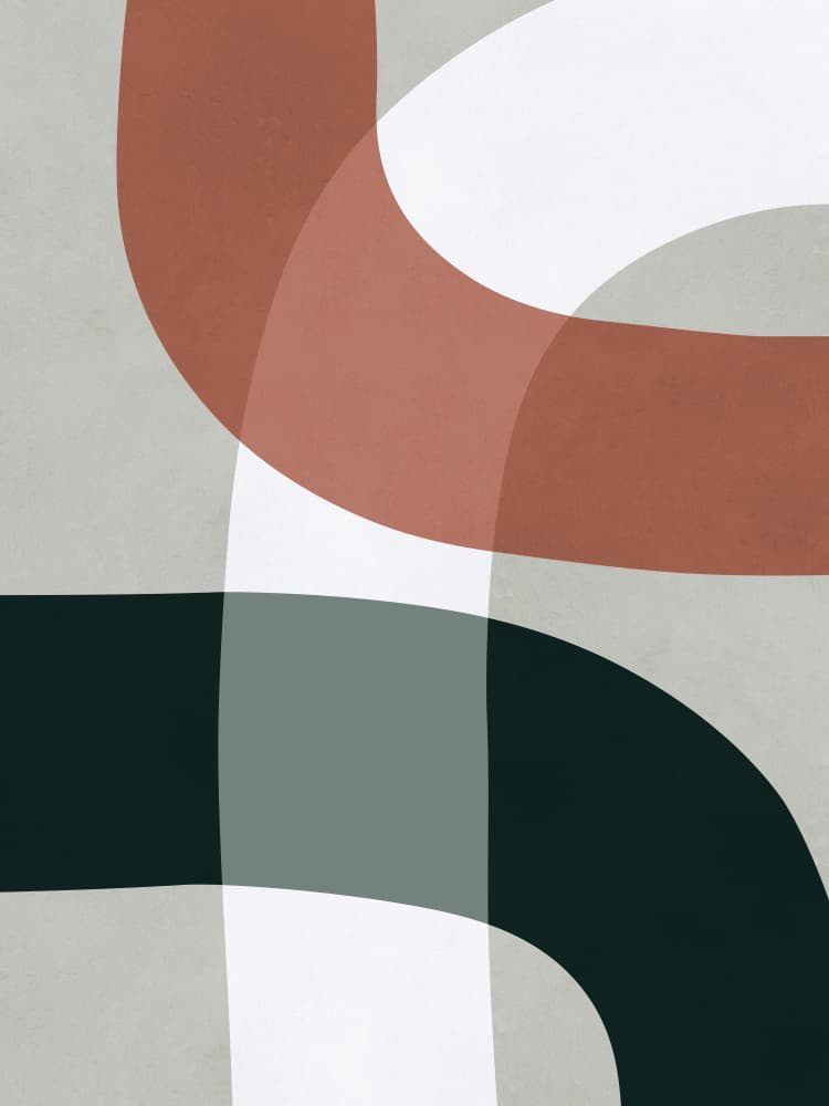 Modern Geometric Curves by Vitor Costa — canvas wall art
