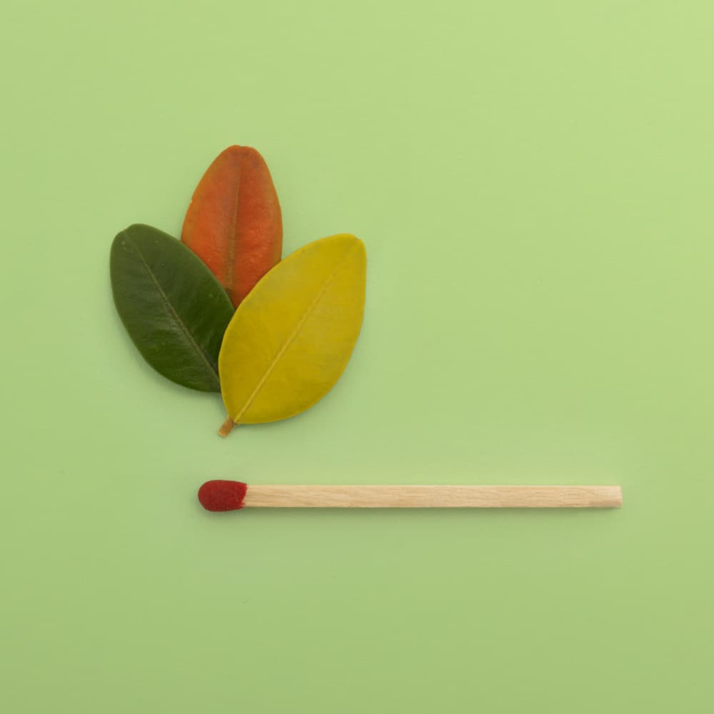 Colorful Leaves Match by Julia Ramiro — canvas wall art