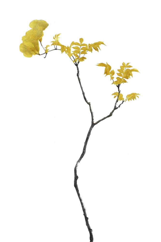 Elegant Golden Branch by amini54 — canvas wall art