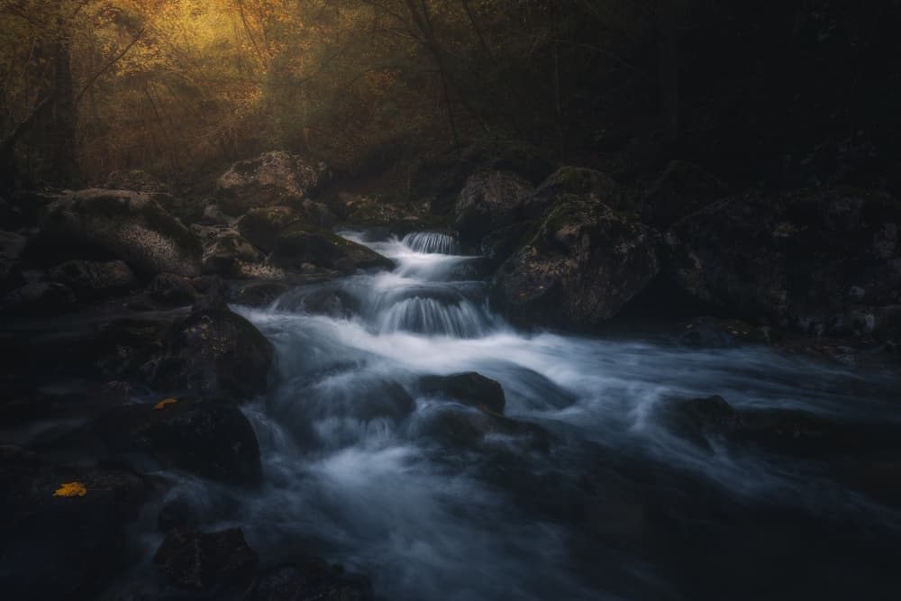 Moody Woodland Stream by Thomas de Franzoni — canvas wall art