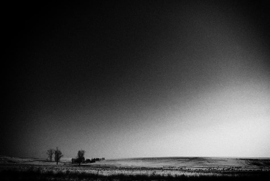 Stark Winter Landscape by Codrin Lupei — canvas wall art