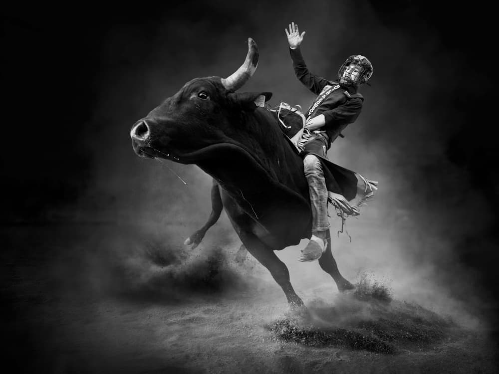 Intense Bull Ride by Steven Zhou — canvas wall art