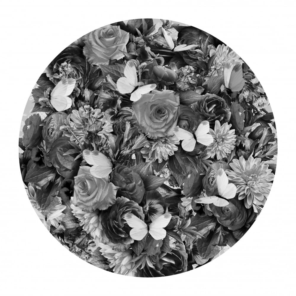 Monochrome Floral Butterflies by Sue Skellern — canvas wall art