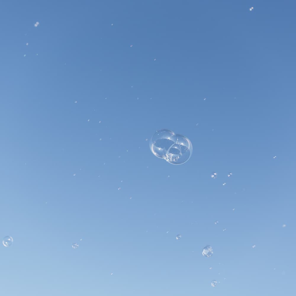 Floating Soap Bubbles by Lynann Colligan — canvas wall art