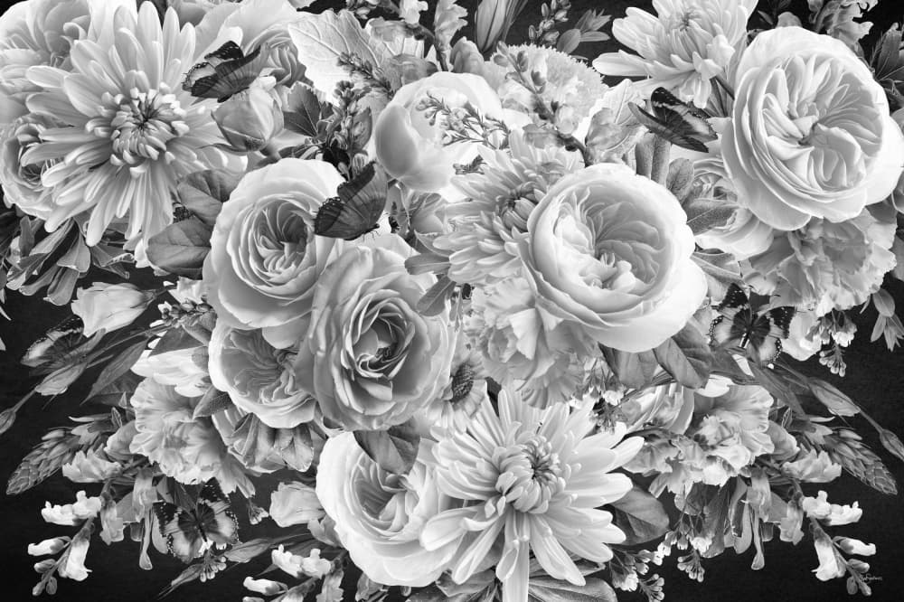 Elegant Monochrome Blooms by Sue Skellern — canvas wall art