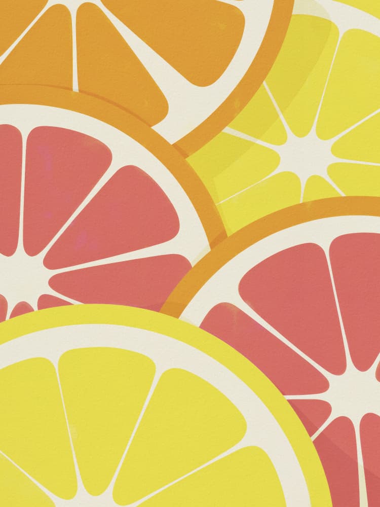 Vibrant Citrus Slices by Andreas Magnusson — canvas wall art