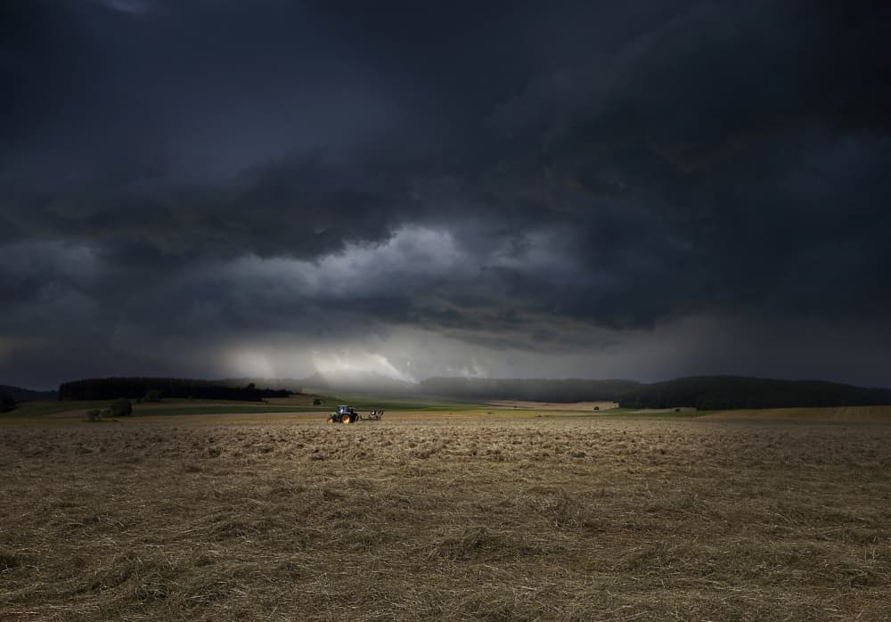 Storm Over Golden Field by Irma Warth — canvas wall art