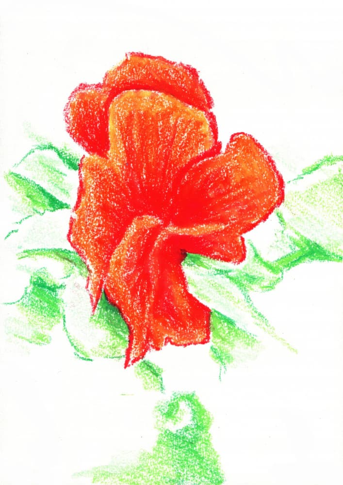 Vibrant Red Bloom by Kulik — canvas wall art
