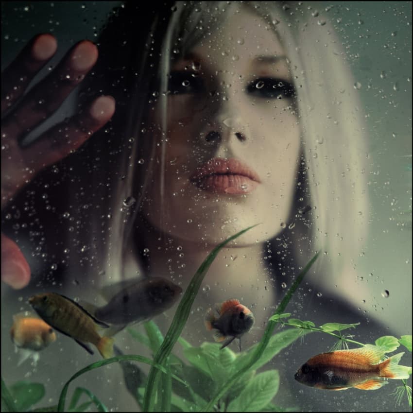 Dreamy Aquarium Gaze by ambra — canvas wall art