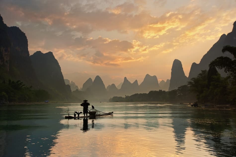 Cormorant Fishing Golden Hour