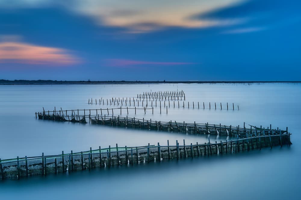 Twilight Water Path by MingLun Tsai (蔡明倫) — canvas wall art
