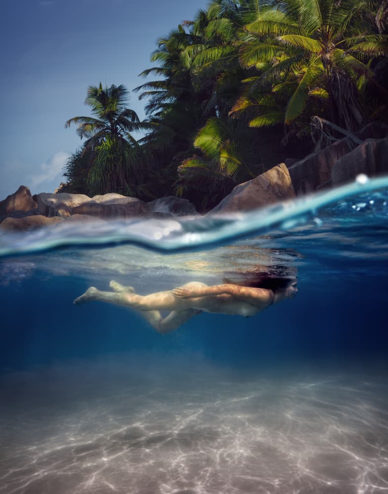 Serene Island Swim by Dmitry Frizel — canvas wall art