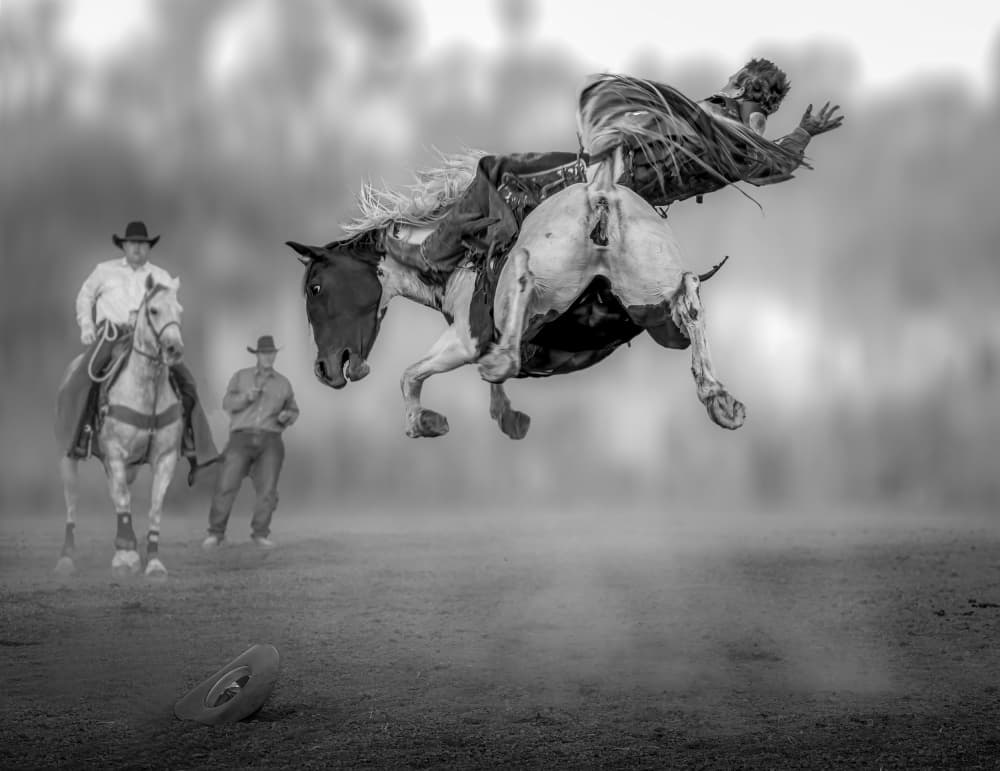 Wild Rodeo Buck by Frank Ma — canvas wall art