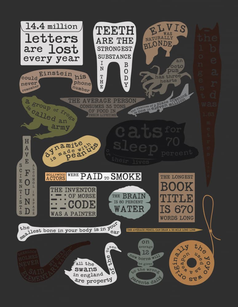 Curious Facts Collection by Florent Bodart — canvas wall art