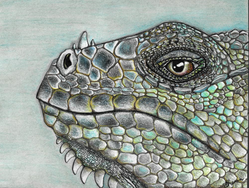Vivid Iguana Scales by Sunet Theron — canvas wall art