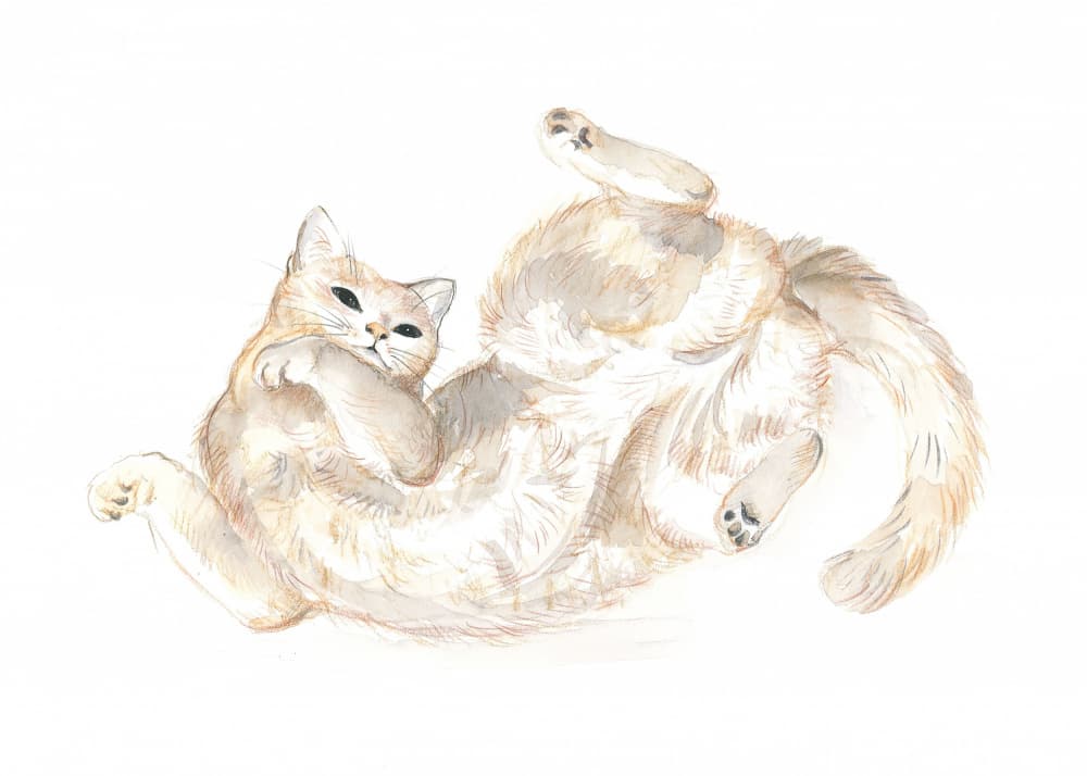Playful Cat by Isabelle Brent — canvas wall art