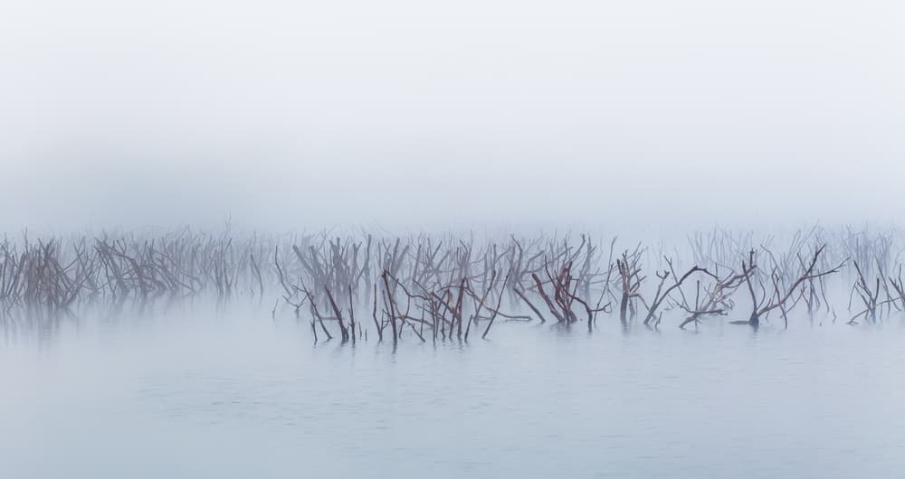Serene Foggy Lake by Wojciech Łączkowski — canvas wall art