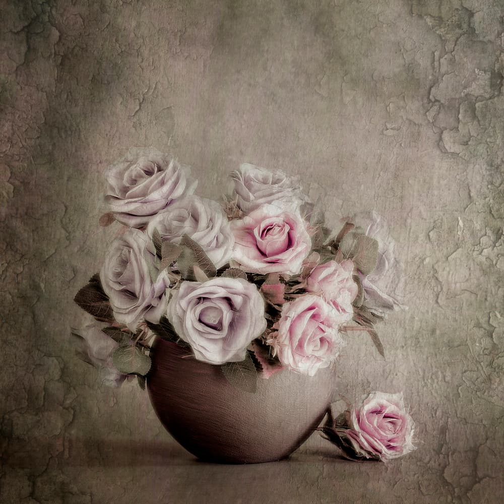 Soft Floral Still Life by Cicek Kiral — canvas wall art
