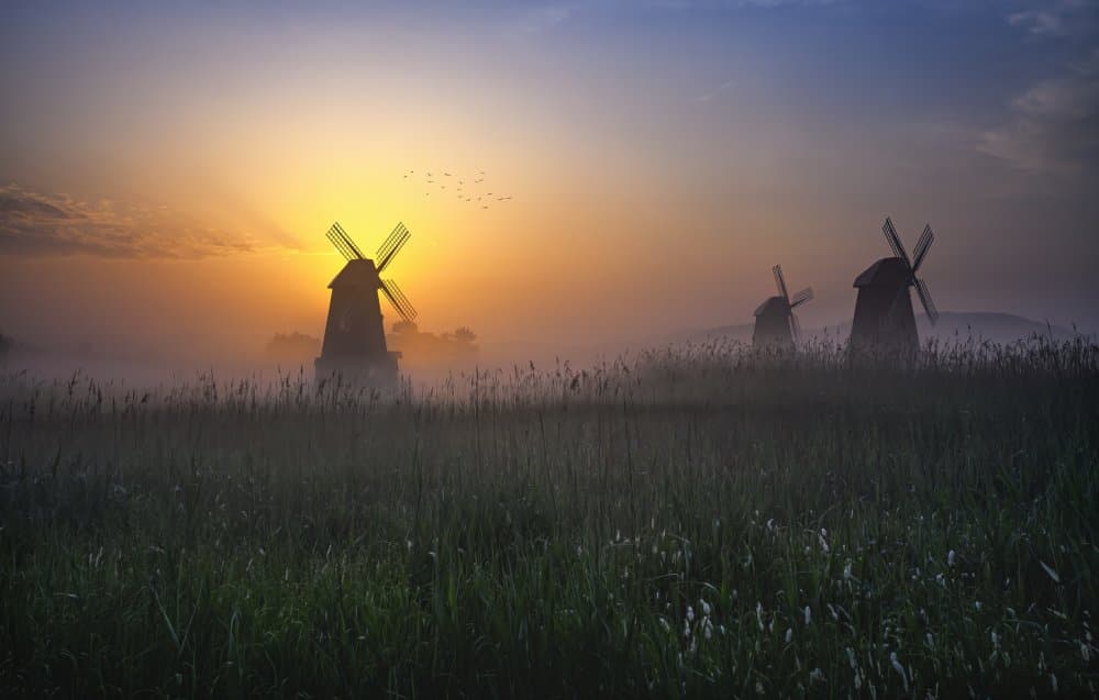 Misty Golden Windmills by Tiger Seo — canvas wall art
