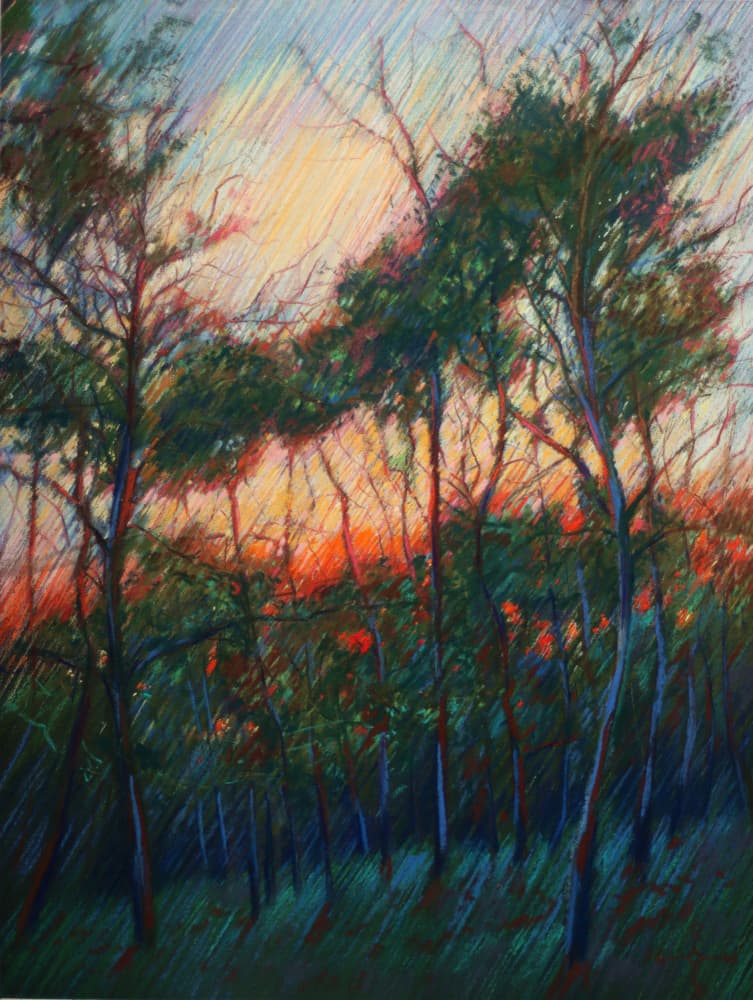 Forest Sunset Glow by Corné Akkers — canvas wall art
