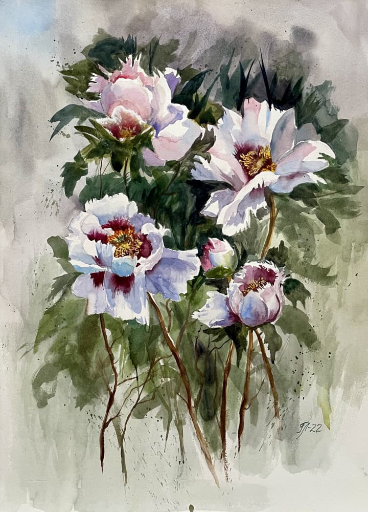 White Watercolor Peonies by Tanya Lundmark — canvas wall art